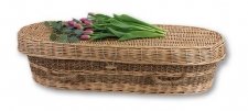 Biodegradable Seagrass Large Youth Caskets 